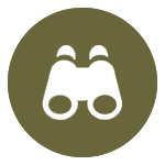 Curated quality